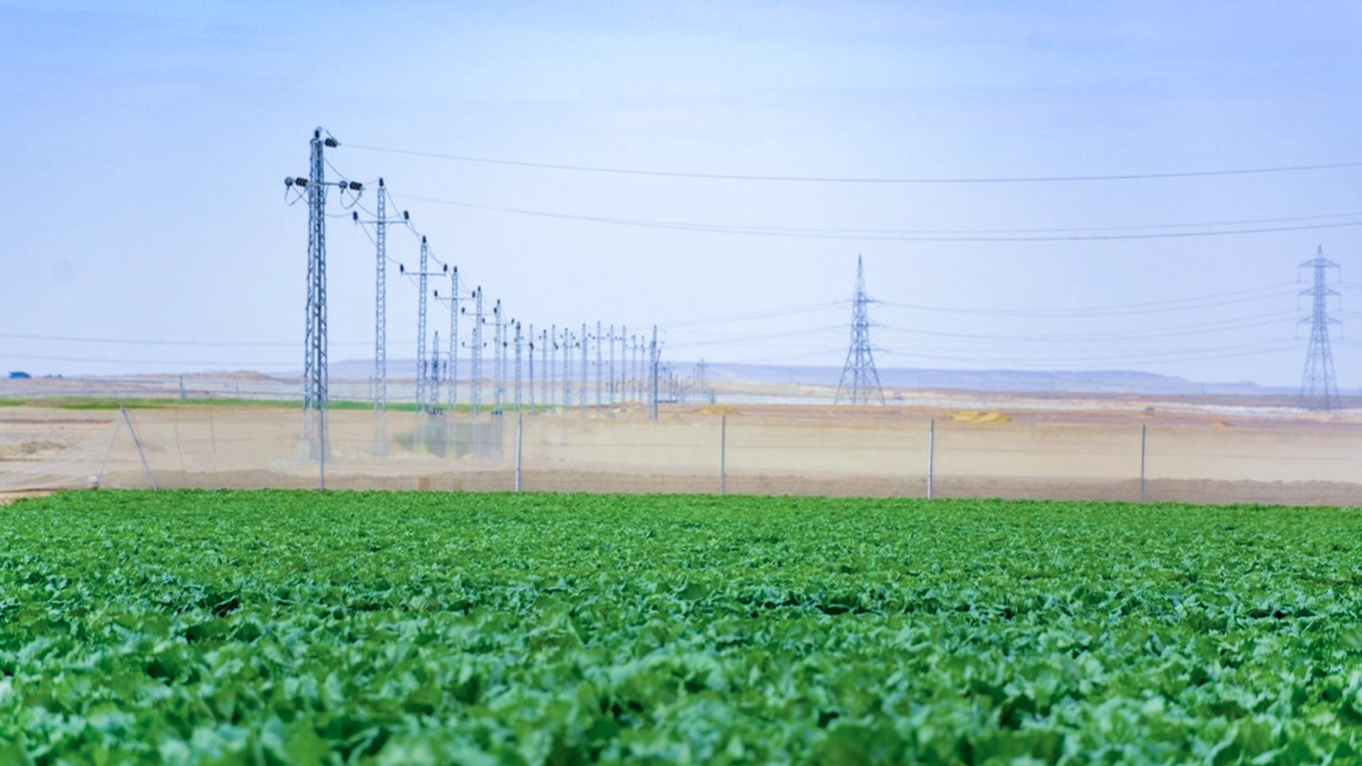 Egypt’s Future Agriculture 40 km - 220 kV double-circuit 5