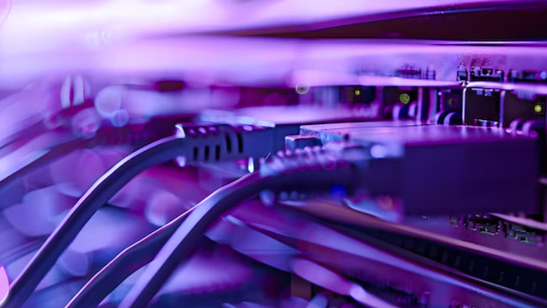 Network Architecture