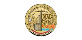 Our Partners in Success10